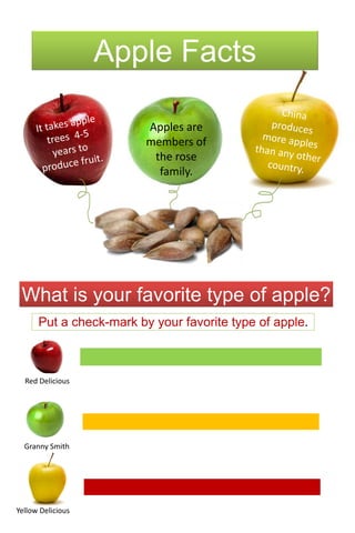 Apple Facts China produces more apples than any other country. It takes apple trees  4-5 years to produce fruit. Apples are members of the rose family. What is your favorite type of apple? Put a check-mark by your favorite type of apple. Red Delicious Granny Smith Yellow Delicious 
