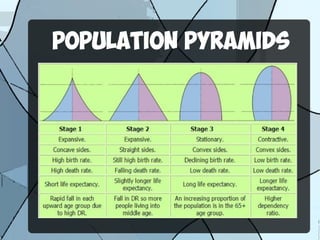 POPULATION PYRAMIDS
 