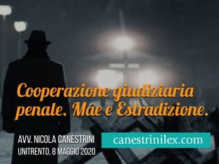 Cooperazione giudiziaria
penale. Mae e Estradizione.
Avv. Nicola Canestrini
UNITRENTO, 8 maggio 2020
 