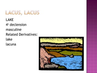 Unit Seven Vocabulary Presentation | PPT