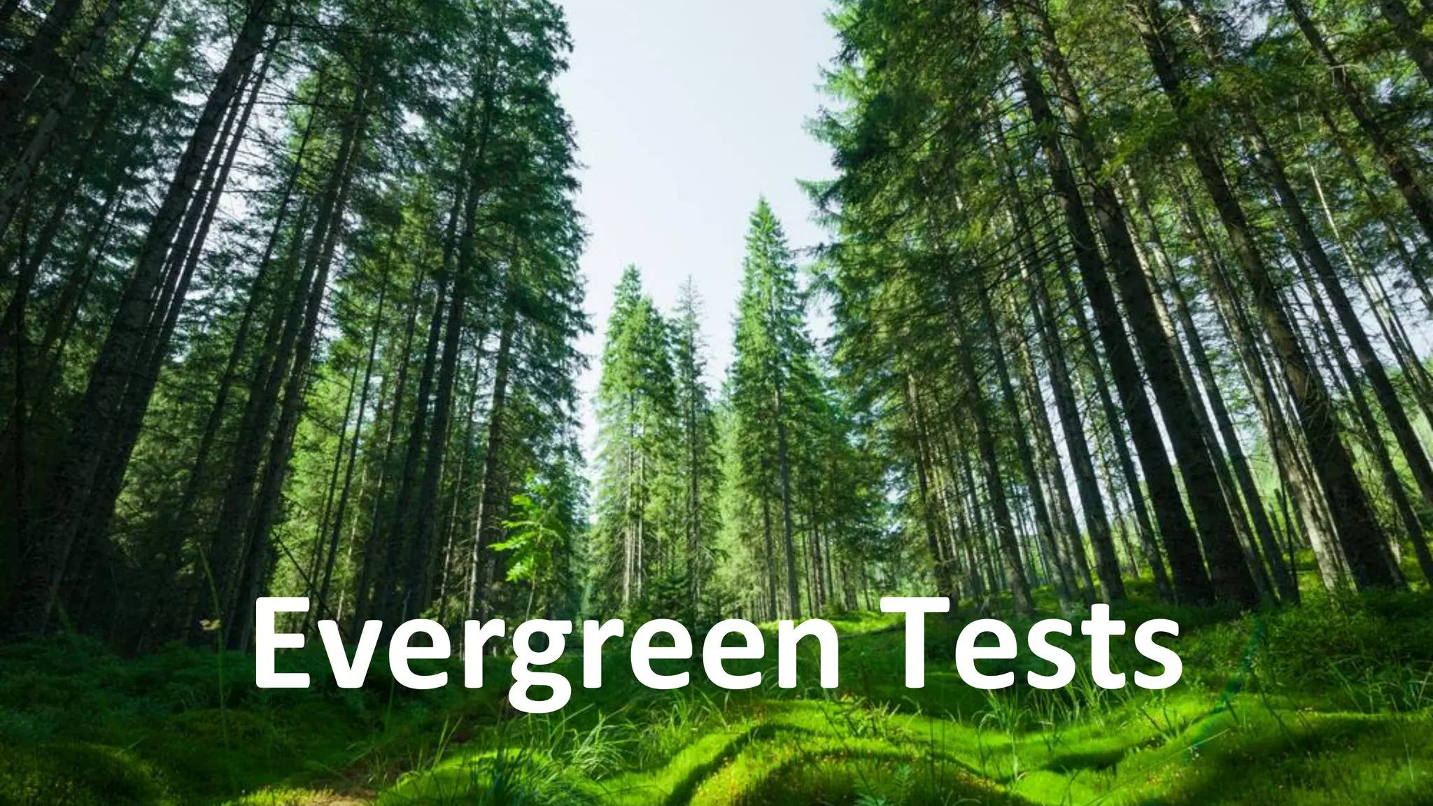 26 VictorRentea.ro
Evergreen Tests
 