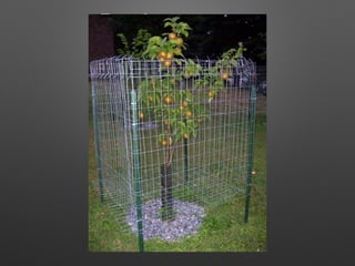 Don’t test your
implementation
 