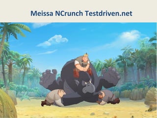 Meissa NCrunch Testdriven.net
 