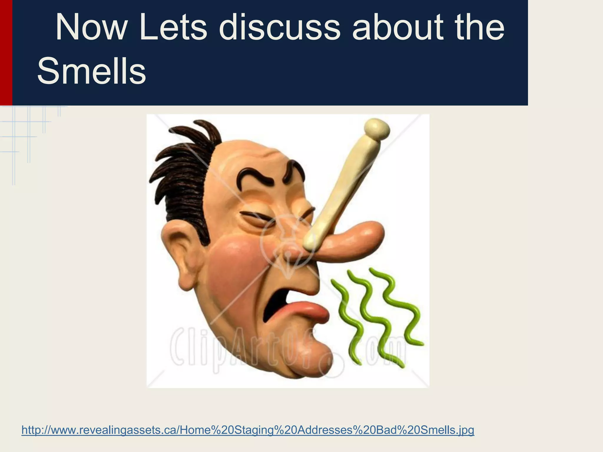 Now Lets discuss about the
Smells
http://www.revealingassets.ca/Home%20Staging%20Addresses%20Bad%20Smells.jpg
 