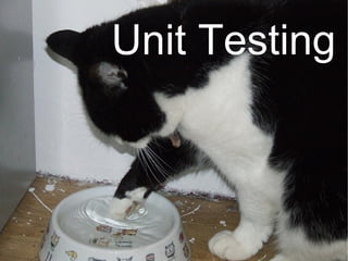Unit Testing
 