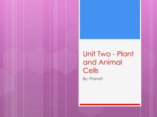 Unit Two - Plant
and Animal
Cells
By: Pranati
 