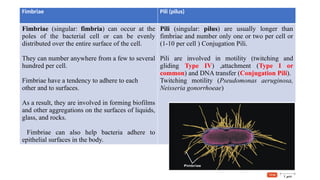 Comprehensive Overview of Agricultural Microbiology: Bacterial ...
