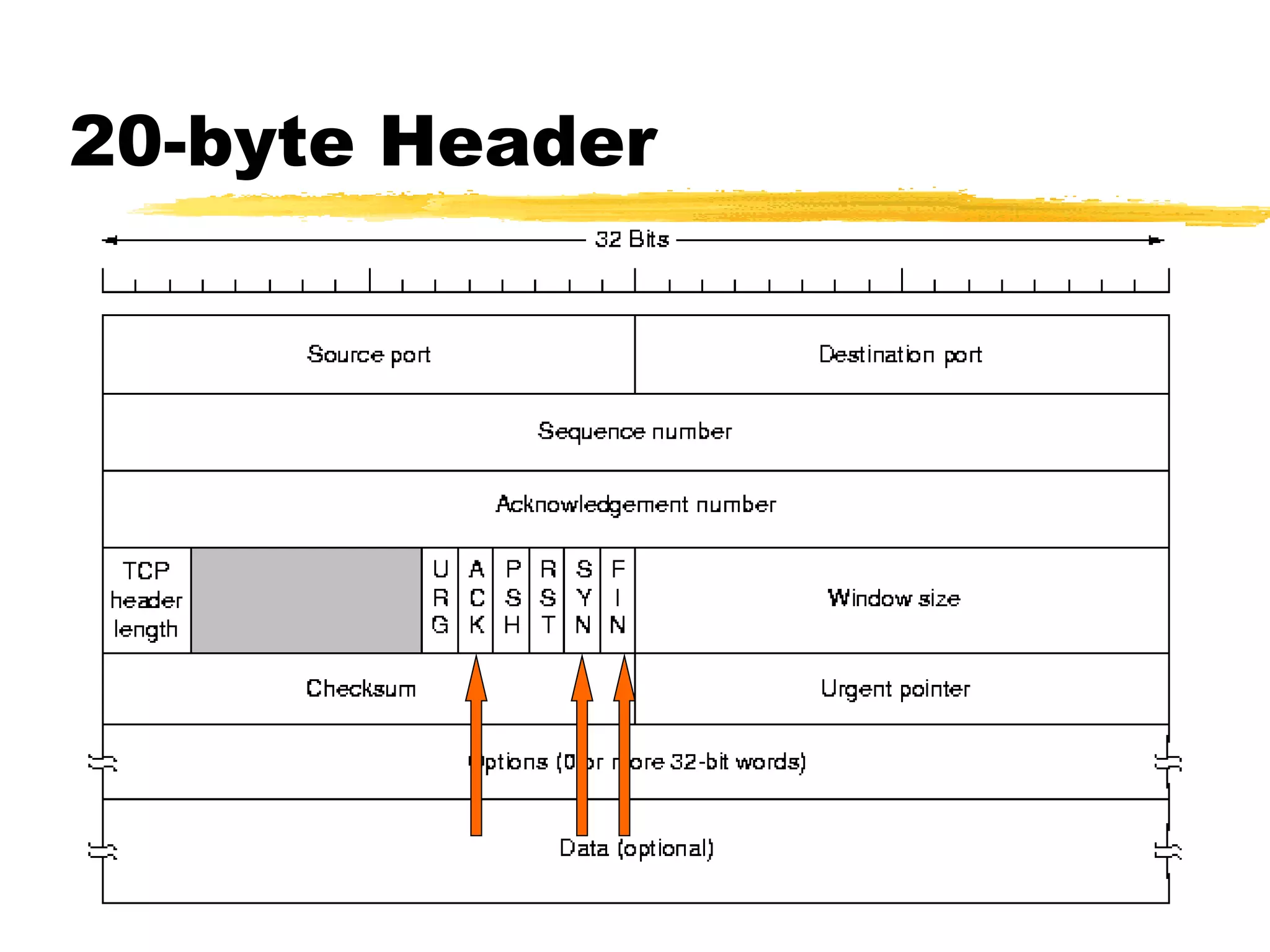 20-byte Header
 