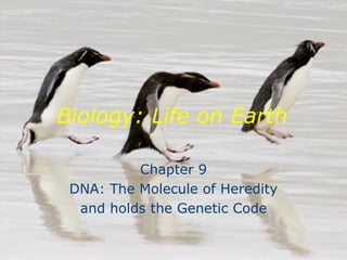 Biology: Life on Earth Chapter 9 DNA: The Molecule of Heredity and holds the Genetic Code 