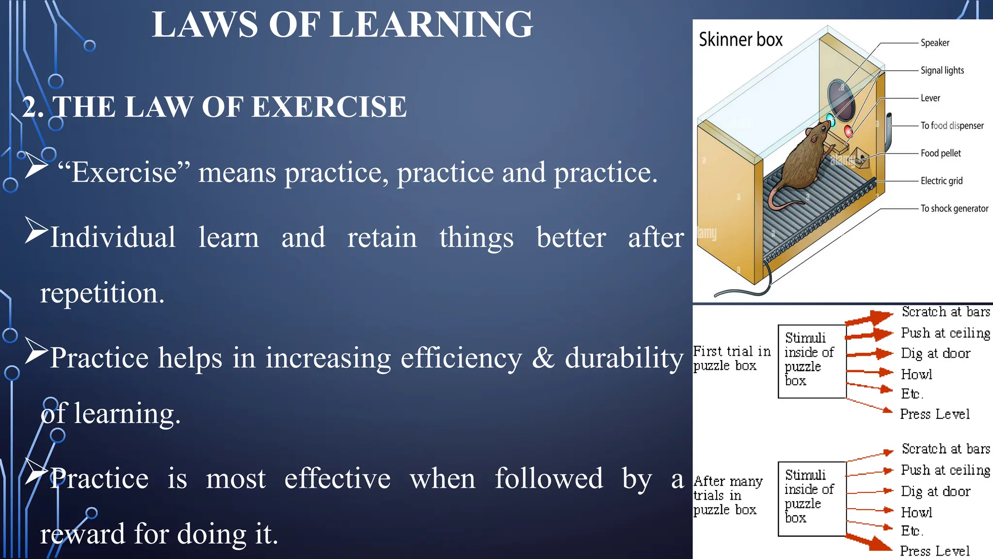 LAWS OF LEARNING
2. THE LAW OF EXERCISE
“Exercise” means practice, practice and practice.
Individual learn and retain things better after
repetition.
Practice helps in increasing efficiency & durability
of learning.
Practice is most effective when followed by a
reward for doing it.
 