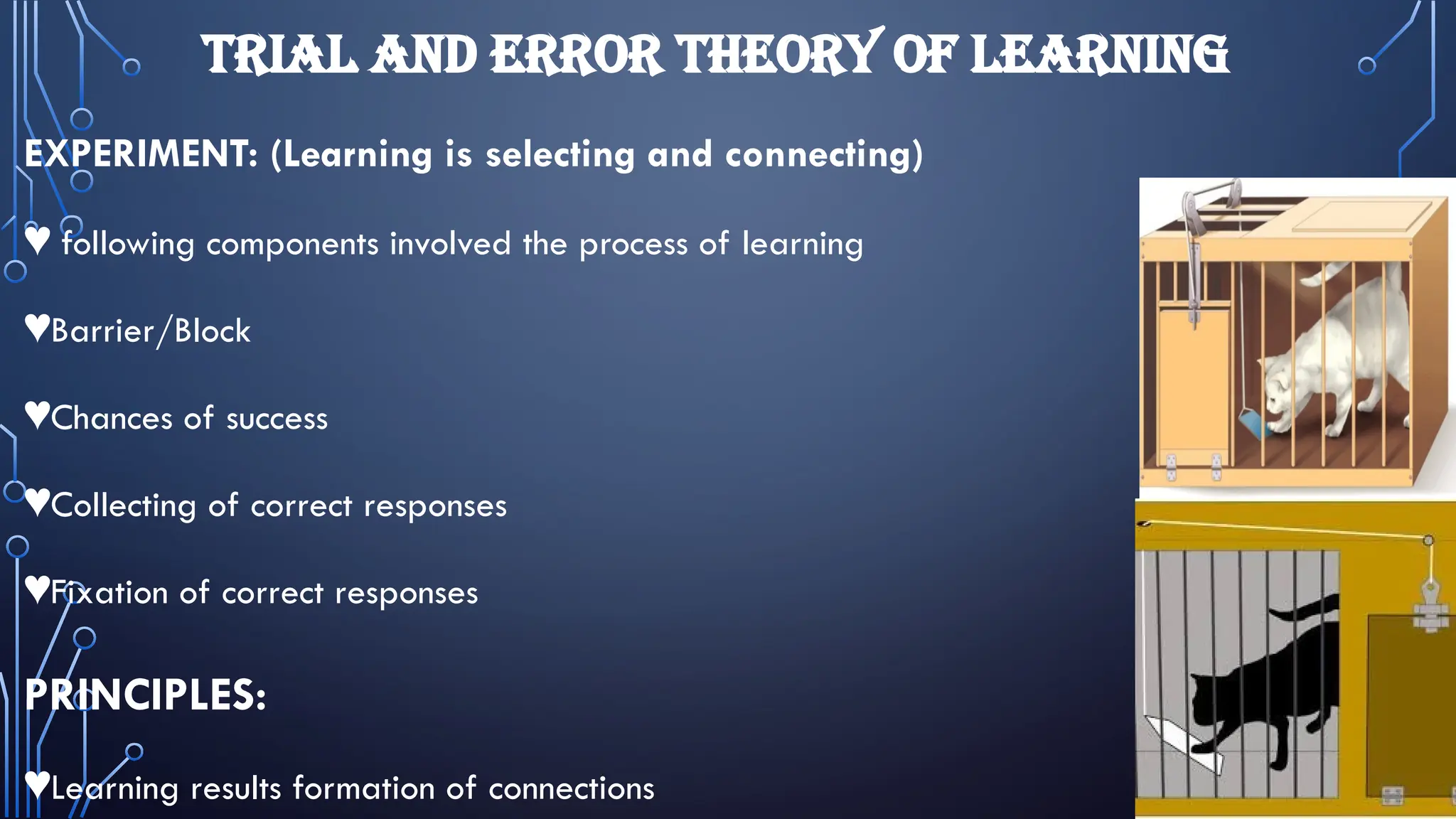 TRIAL AND ERROR THEORY OF LEARNING
EXPERIMENT: (Learning is selecting and connecting)
♥ following components involved the process of learning
♥Barrier/Block
♥Chances of success
♥Collecting of correct responses
♥Fixation of correct responses
PRINCIPLES:
♥Learning results formation of connections
 