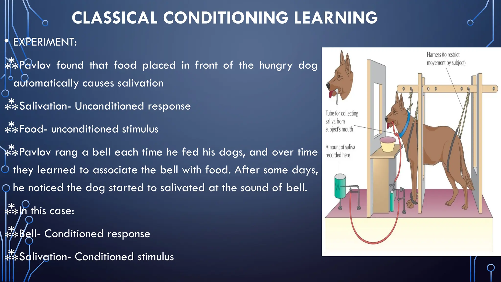 CLASSICAL CONDITIONING LEARNING
• EXPERIMENT:
⁂Pavlov found that food placed in front of the hungry dog
automatically causes salivation
⁂Salivation- Unconditioned response
⁂Food- unconditioned stimulus
⁂Pavlov rang a bell each time he fed his dogs, and over time
they learned to associate the bell with food. After some days,
he noticed the dog started to salivated at the sound of bell.
⁂In this case:
⁂Bell- Conditioned response
⁂Salivation- Conditioned stimulus
 