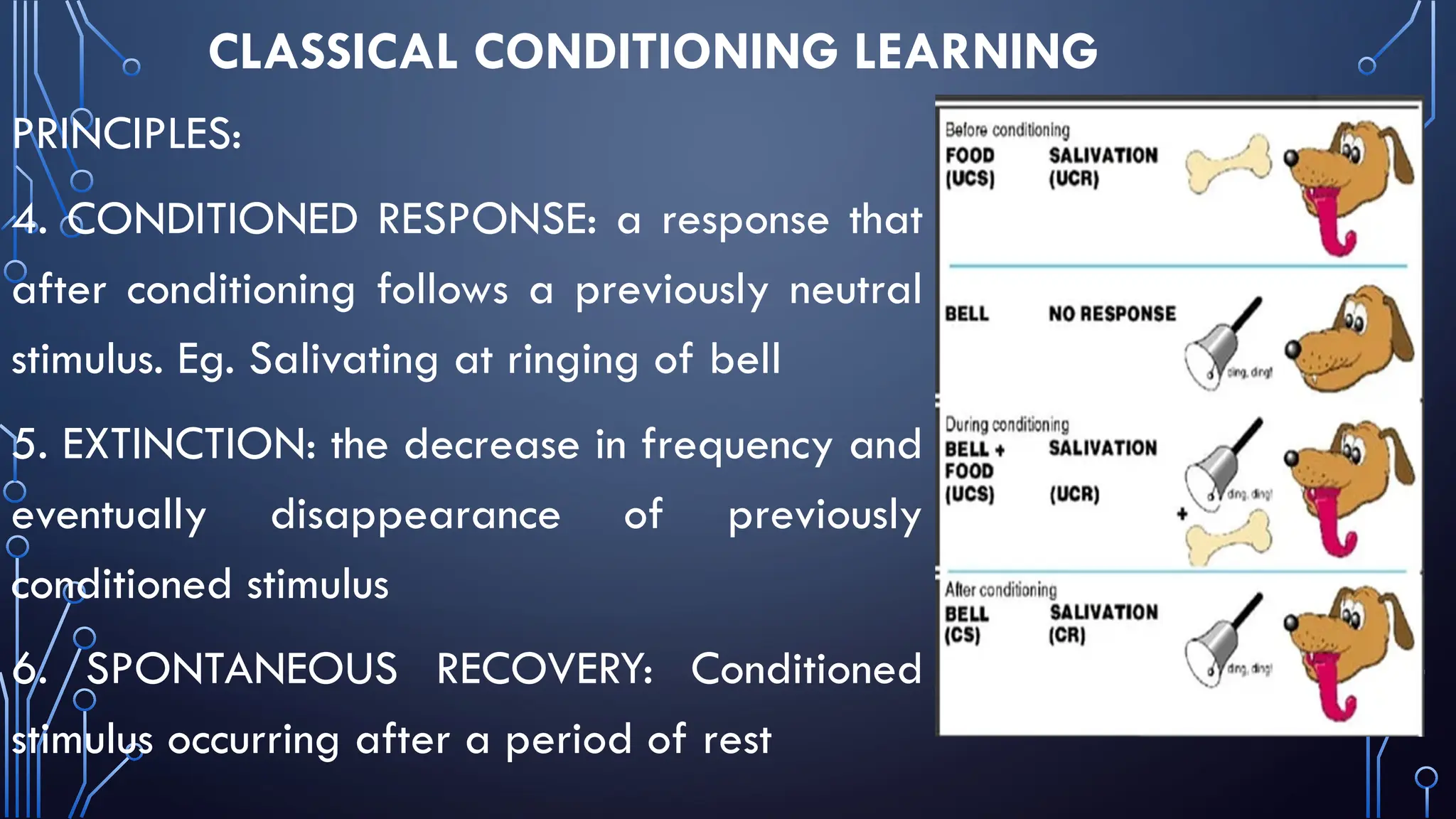 CLASSICAL CONDITIONING LEARNING
PRINCIPLES:
4. CONDITIONED RESPONSE: a response that
after conditioning follows a previously neutral
stimulus. Eg. Salivating at ringing of bell
5. EXTINCTION: the decrease in frequency and
eventually disappearance of previously
conditioned stimulus
6. SPONTANEOUS RECOVERY: Conditioned
stimulus occurring after a period of rest
 