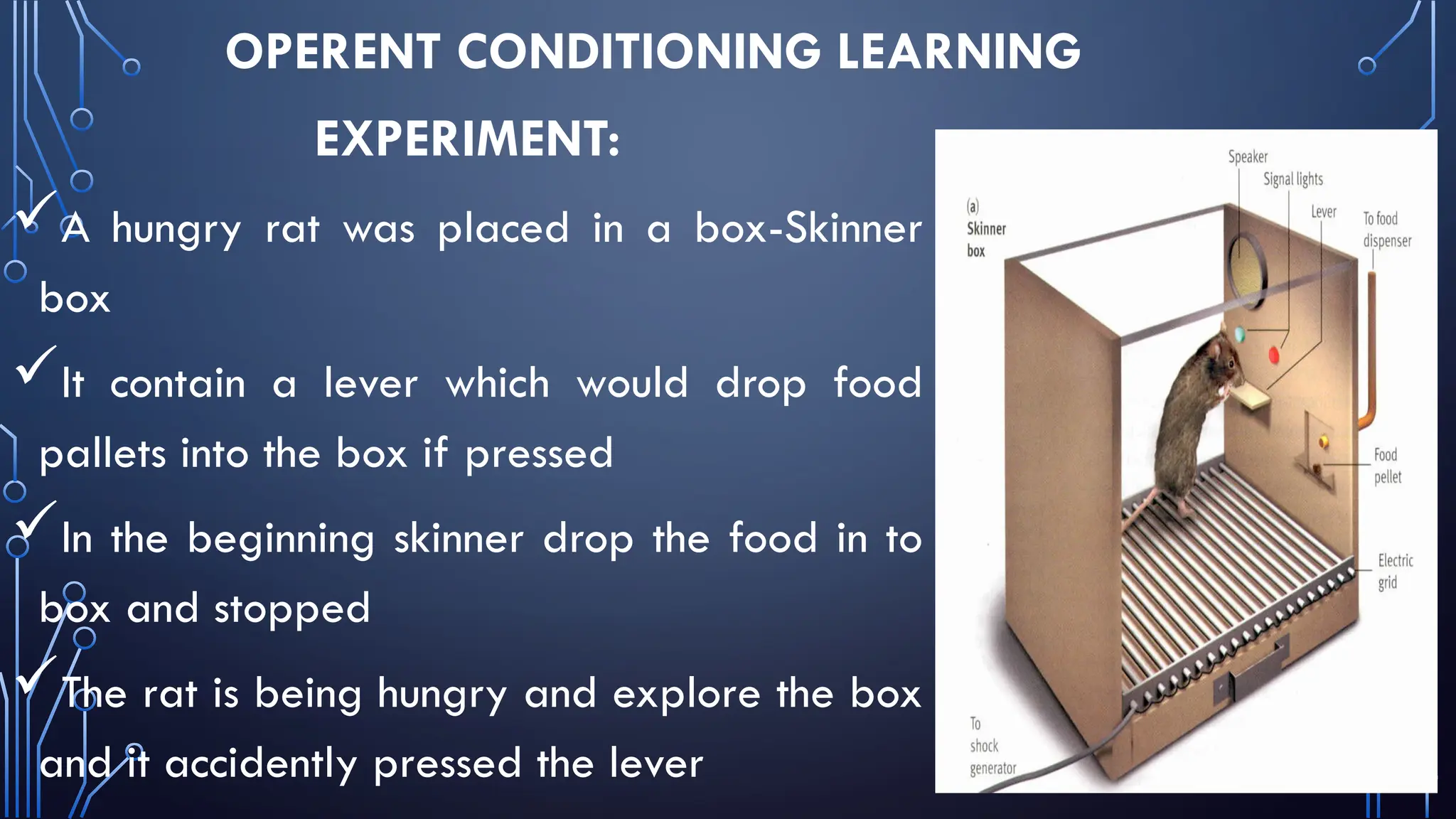 OPERENT CONDITIONING LEARNING
EXPERIMENT:
A hungry rat was placed in a box-Skinner
box
It contain a lever which would drop food
pallets into the box if pressed
In the beginning skinner drop the food in to
box and stopped
The rat is being hungry and explore the box
and it accidently pressed the lever
 