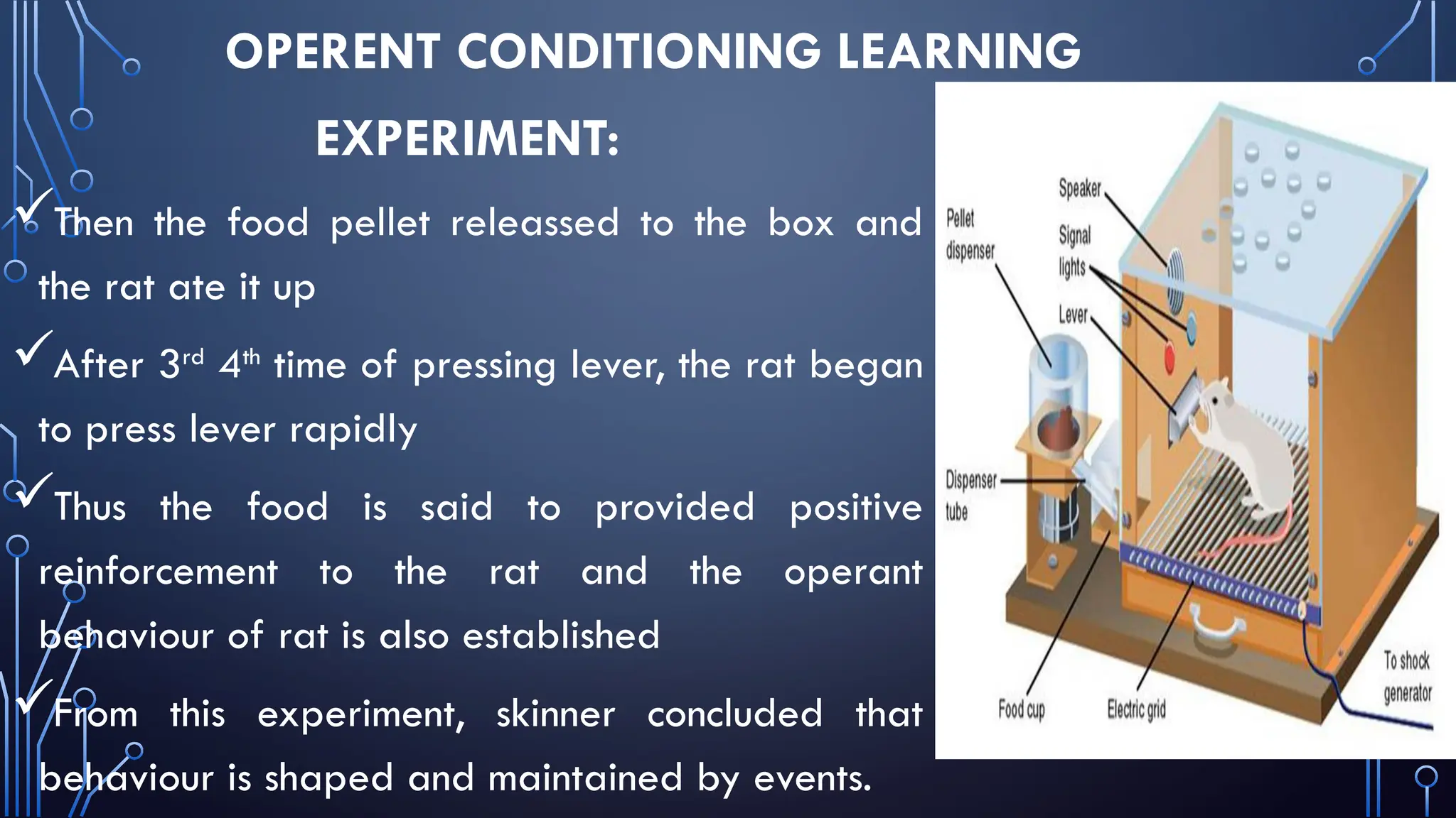 OPERENT CONDITIONING LEARNING
EXPERIMENT:
Then the food pellet releassed to the box and
the rat ate it up
After 3rd
4th
time of pressing lever, the rat began
to press lever rapidly
Thus the food is said to provided positive
reinforcement to the rat and the operant
behaviour of rat is also established
From this experiment, skinner concluded that
behaviour is shaped and maintained by events.
 
