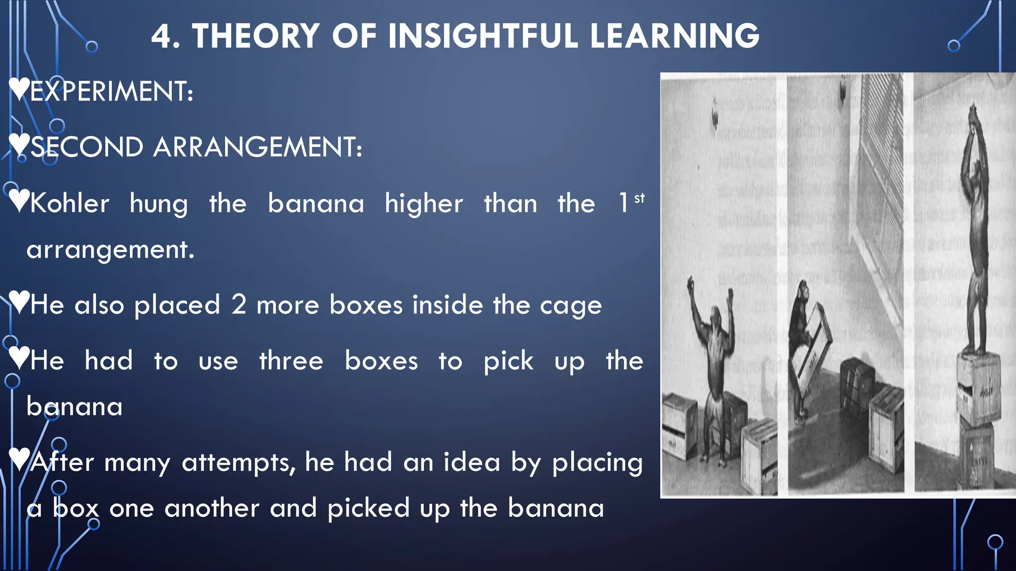 4. THEORY OF INSIGHTFUL LEARNING
♥EXPERIMENT:
♥SECOND ARRANGEMENT:
♥Kohler hung the banana higher than the 1st
arrangement.
♥He also placed 2 more boxes inside the cage
♥He had to use three boxes to pick up the
banana
♥After many attempts, he had an idea by placing
a box one another and picked up the banana
 