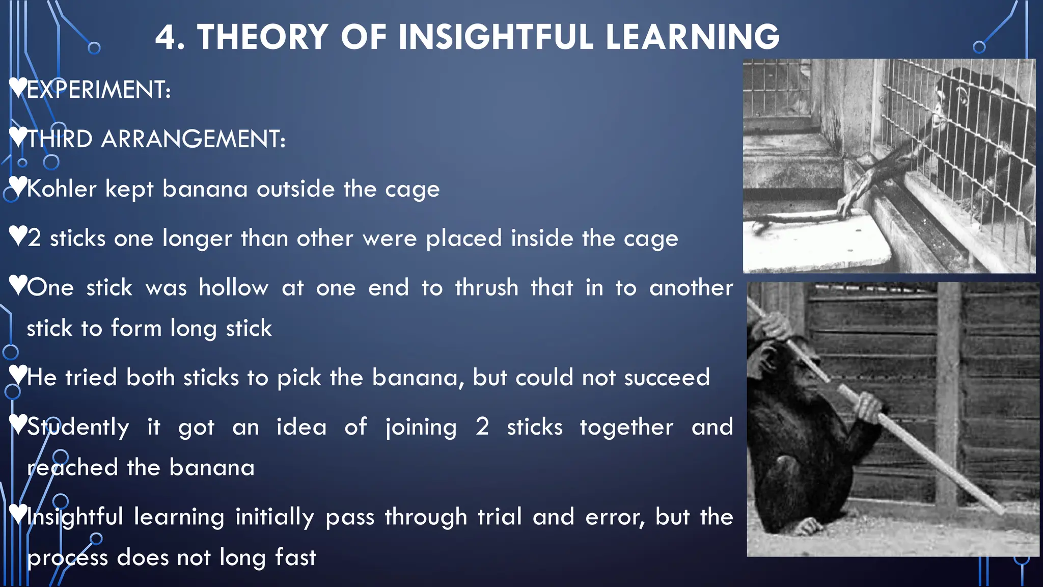 4. THEORY OF INSIGHTFUL LEARNING
♥EXPERIMENT:
♥THIRD ARRANGEMENT:
♥Kohler kept banana outside the cage
♥2 sticks one longer than other were placed inside the cage
♥One stick was hollow at one end to thrush that in to another
stick to form long stick
♥He tried both sticks to pick the banana, but could not succeed
♥Studently it got an idea of joining 2 sticks together and
reached the banana
♥Insightful learning initially pass through trial and error, but the
process does not long fast
 