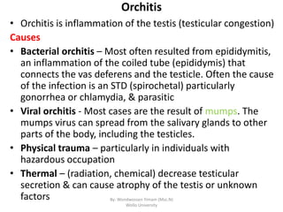 Unit VII. Male reproductive system disorders.pptx