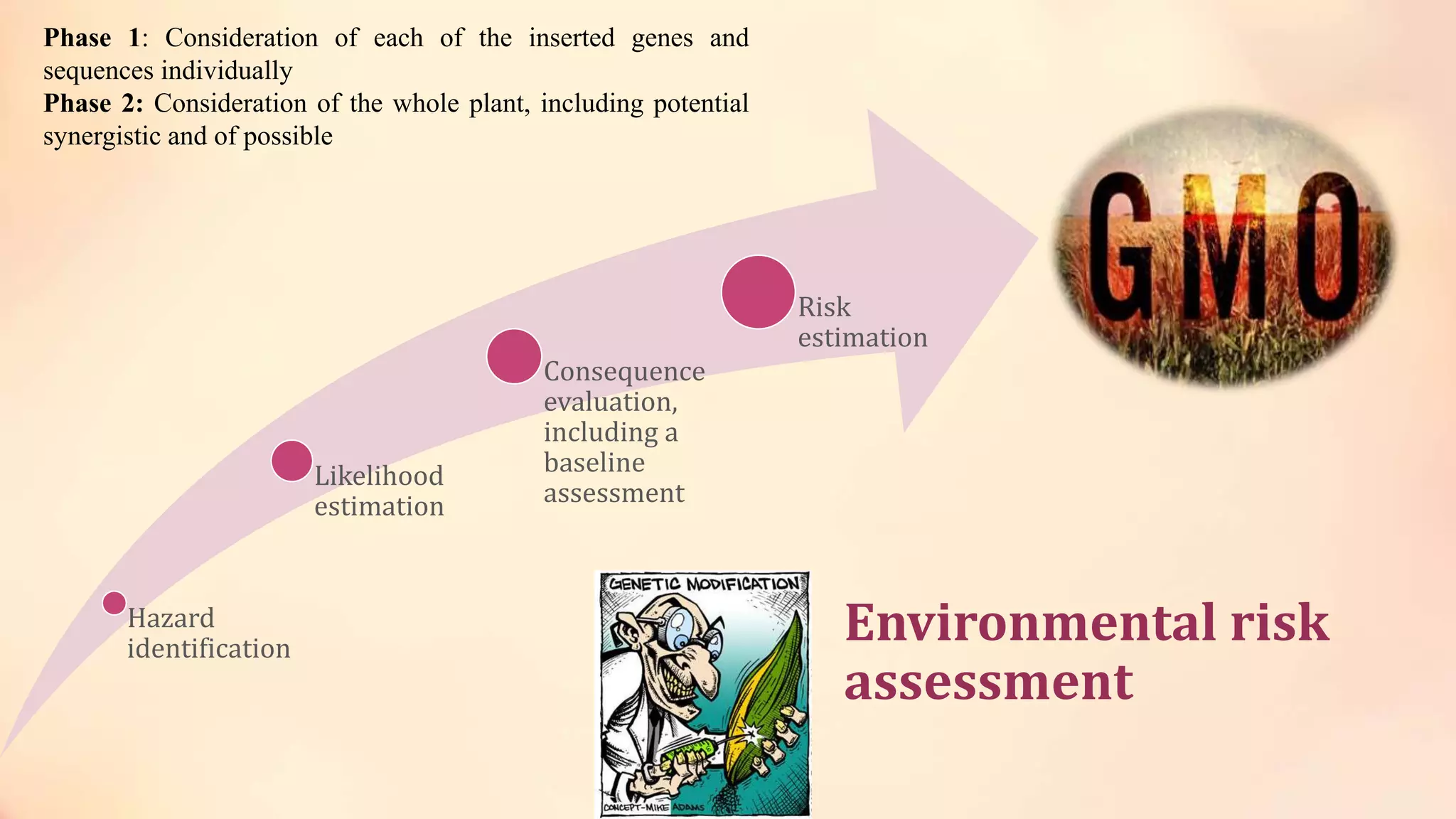 Environmental risk
assessment
Hazard
identification
Likelihood
estimation
Consequence
evaluation,
including a
baseline
assessment
Risk
estimation
Phase 1: Consideration of each of the inserted genes and
sequences individually
Phase 2: Consideration of the whole plant, including potential
synergistic and of possible
 