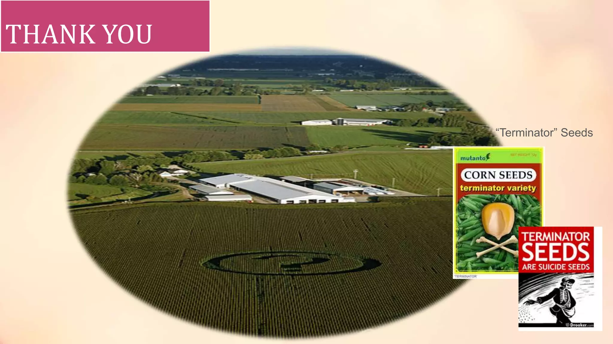 THANK YOU
“Terminator” Seeds
 