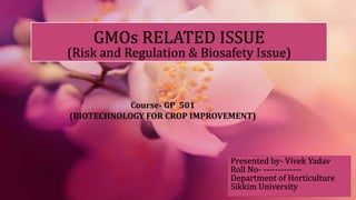 GMOs RELATED ISSUE
(Risk and Regulation & Biosafety Issue)
Presented by- Vivek Yadav
Roll No- -------------
Department of Horticulture
Sikkim University
Course- GP 501
(BIOTECHNOLOGY FOR CROP IMPROVEMENT)
 