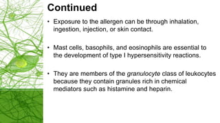 Continued
• Exposure to the allergen can be through inhalation,
ingestion, injection, or skin contact.
• Mast cells, basophils, and eosinophils are essential to
the development of type I hypersensitivity reactions.
• They are members of the granulocyte class of leukocytes
because they contain granules rich in chemical
mediators such as histamine and heparin.
 