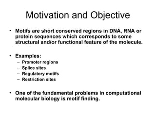 ALGORITM AND BIOINFORMATICAAAAAMOTIF.ppt