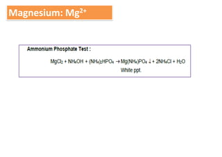 Magnesium: Mg2+
 