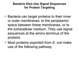 Comprehensive Overview of Protein Targeting and Sorting Mechanisms in ...