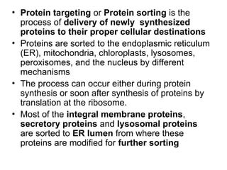 Comprehensive Overview of Protein Targeting and Sorting Mechanisms in ...