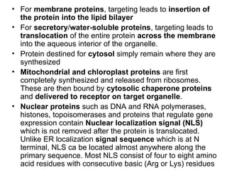 Comprehensive Overview of Protein Targeting and Sorting Mechanisms in ...