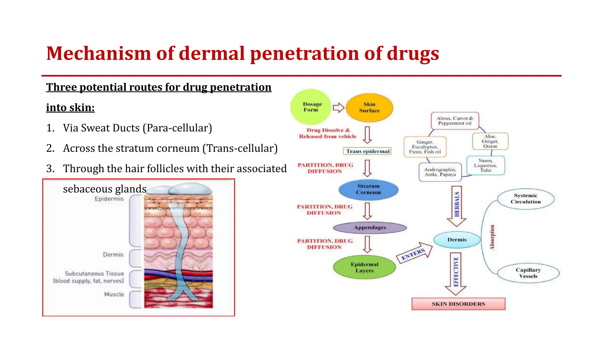 Mechanism of dermal penetration of drugs
Three potential routes for drug penetration
into skin:
1. Via Sweat Ducts (Para-cellular)
2. Across the stratum corneum (Trans-cellular)
3. Through the hair follicles with their associated
sebaceous glands
 