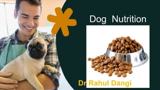 Dog Nutrition
Dr Rahul Dangi
 