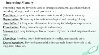 Comprehensive Overview of Memory Processes in Developmental Psychology ...