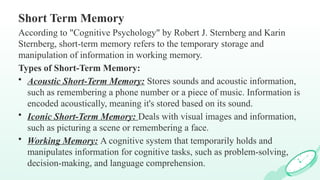 Comprehensive Overview of Memory Processes in Developmental Psychology ...
