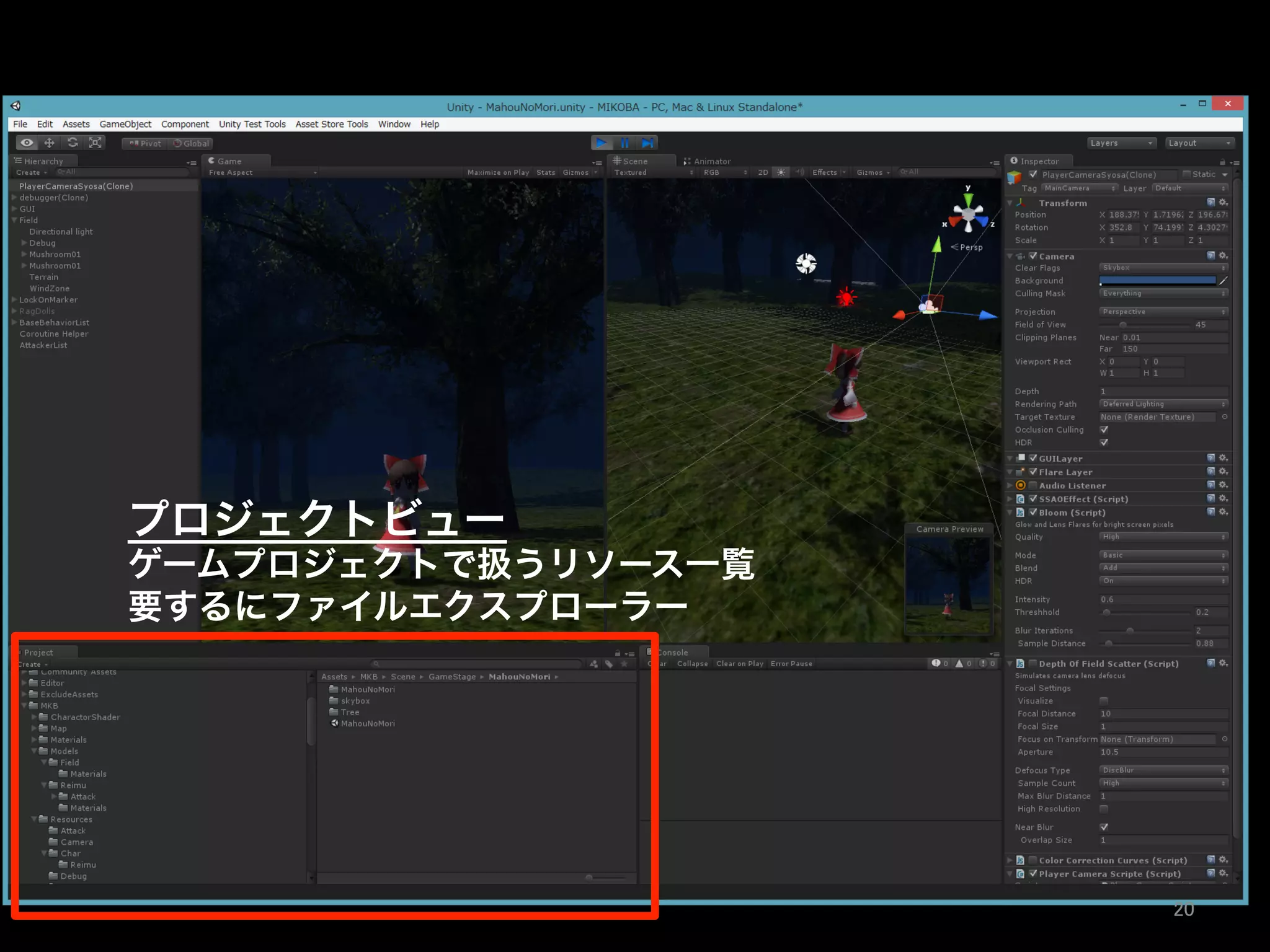 プロジェクトビュー
ゲームプロジェクトで扱うリソース一覧
要するにファイルエクスプローラー
20	
 