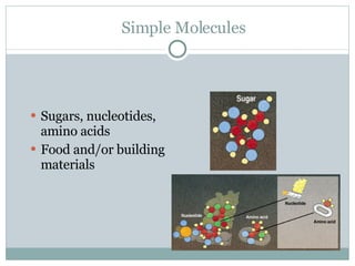 Simple Molecules Sugars, nucleotides, amino acids Food and/or building materials 