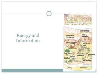 Energy and Information 