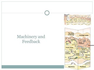 Machinery and Feedback 