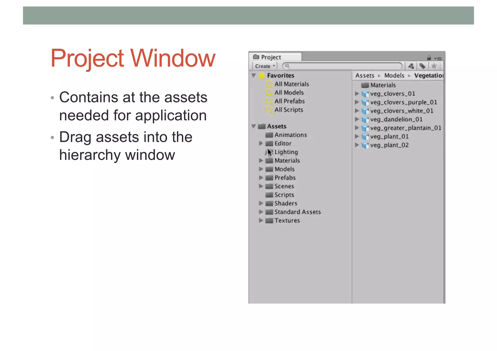 Project Window
• Contains at the assets
needed for application
• Drag assets into the
hierarchy window
 
