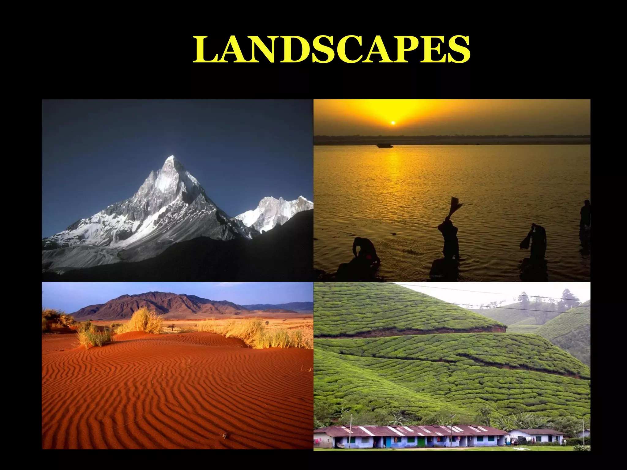 LANDSCAPES
 
