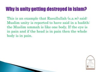 Muslim Ummah Is Like One Body