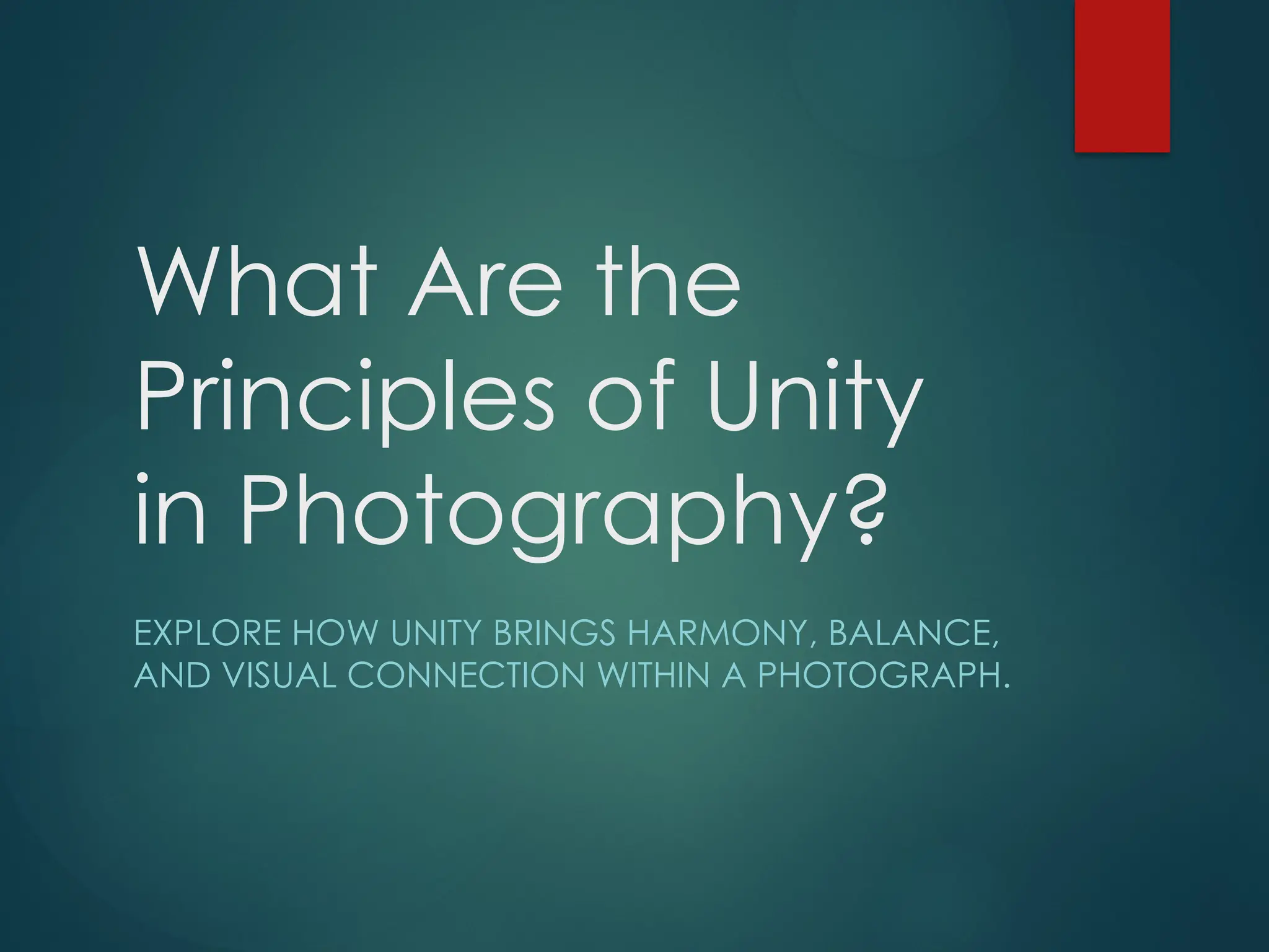 What Are the
Principles of Unity
in Photography?
EXPLORE HOW UNITY BRINGS HARMONY, BALANCE,
AND VISUAL CONNECTION WITHIN A PHOTOGRAPH.
 