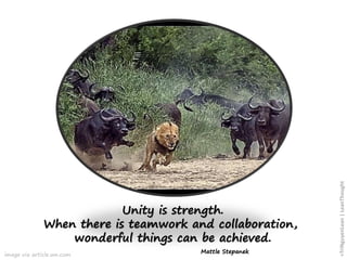 image via article.wn.com
Unity is strength.
When there is teamwork and collaboration,
wonderful things can be achieved.
Mattle Stepanek
+TriNguyenLean|LeanThought
 
