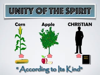 Doctrinal Unity Unity of The Spirit - NOT - Unity In Diversity | PDF