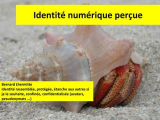 Identité numérique perçue Bernard Lhermitte Identité rassemblée, protégée, étanche aux autres si je le souhaite, confinée, confidentialisée (avatars, pesudonymats ...) 