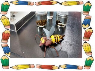 Museu de Ciências Naturais!