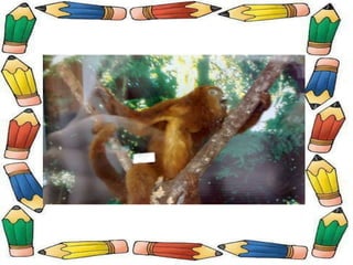 Museu de Ciências Naturais!