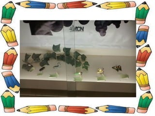 Museu de Ciências Naturais!