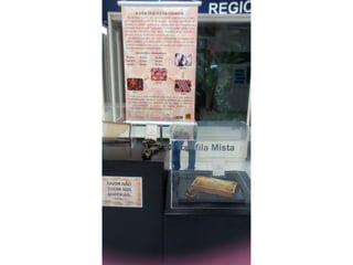 Museu de Ciências Naturais!